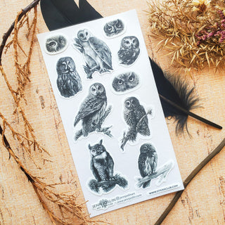 August 2025 Vintage Pack: Flitter, Flutter, Fly