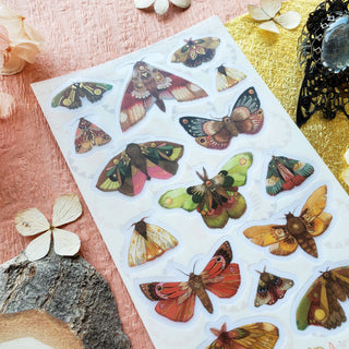 August 2025 Vintage Pack: Flitter, Flutter, Fly